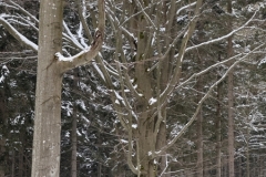 ABiRO-WKCAMP-2026-118