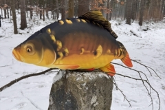 ABiRO-WKCAMP-2026-119