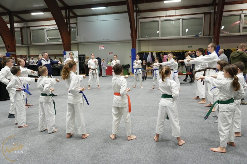 ABiRO-WOSP-2026-05