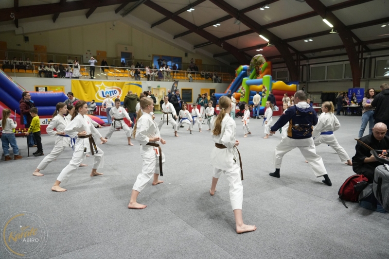 ABiRO-WOSP-2026-06