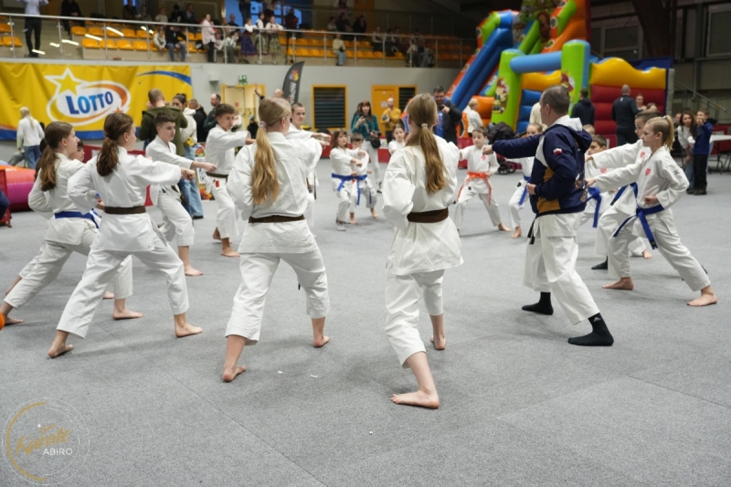 ABiRO-WOSP-2026-07