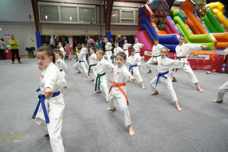 ABiRO-WOSP-2026-09