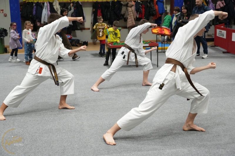 ABiRO-WOSP-2026-11