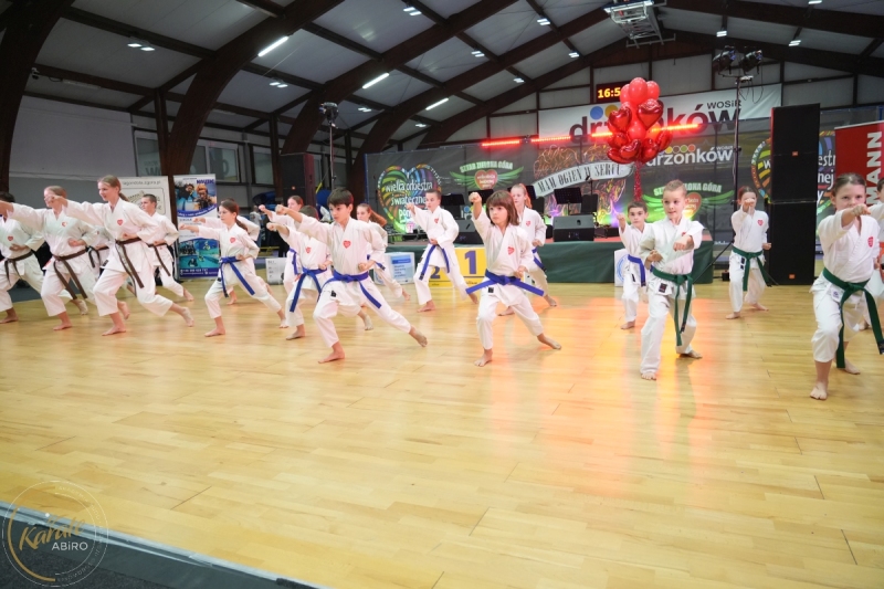 ABiRO-WOSP-2026-15