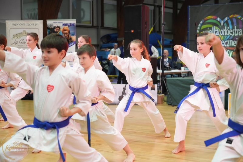 ABiRO-WOSP-2026-16
