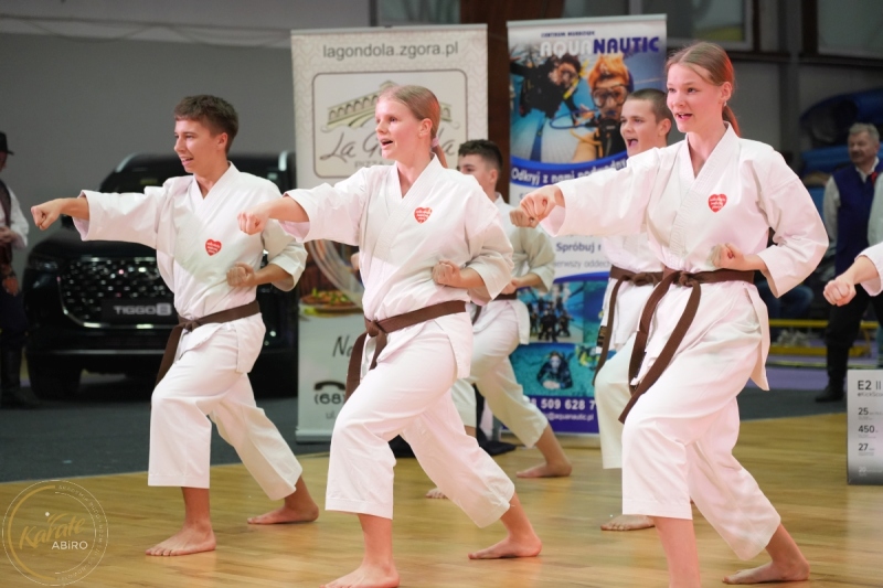 ABiRO-WOSP-2026-18