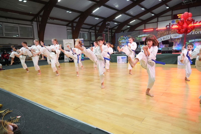 ABiRO-WOSP-2026-19