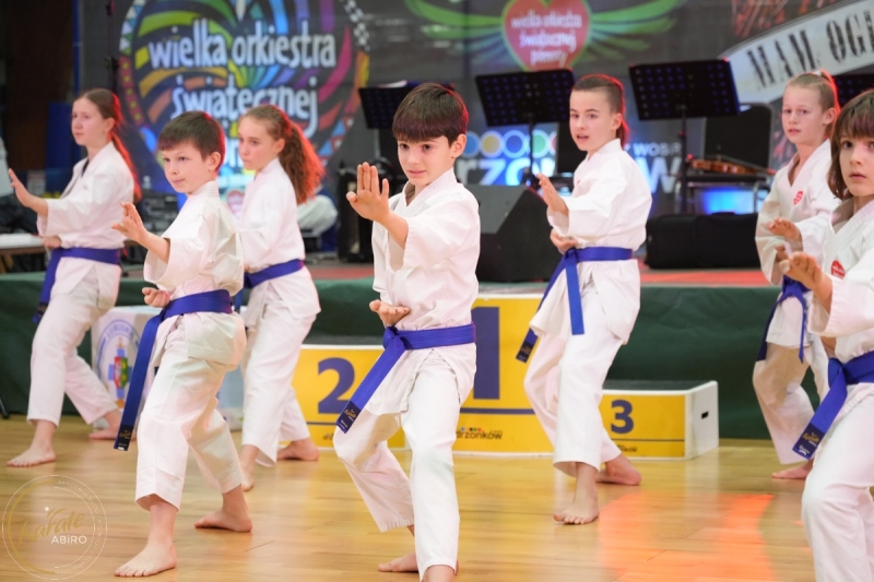 ABiRO-WOSP-2026-20