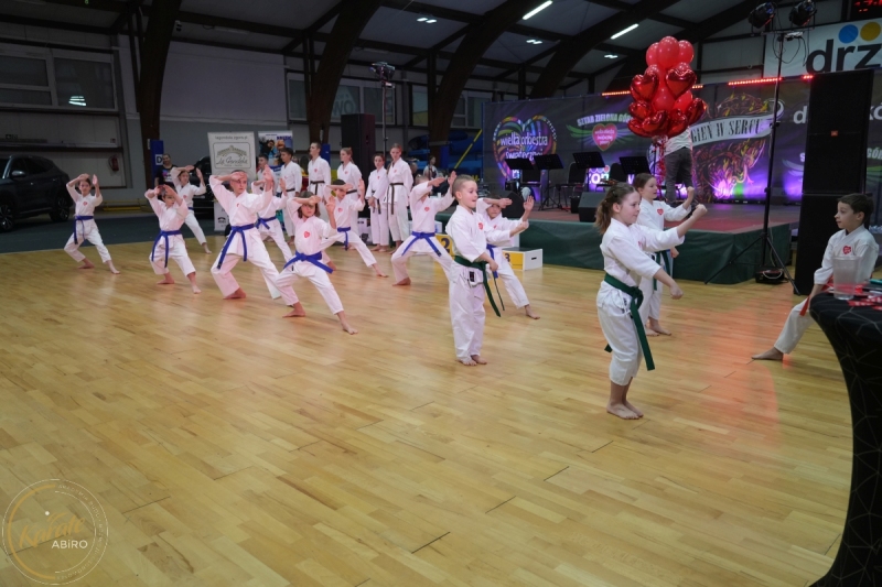 ABiRO-WOSP-2026-26