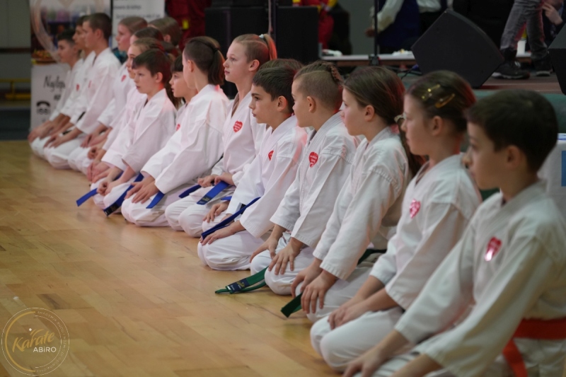 ABiRO-WOSP-2026-29
