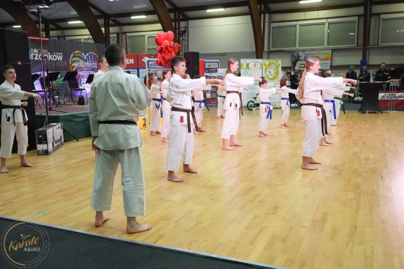 ABiRO-WOSP-2026-38