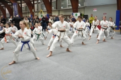 ABiRO-WOSP-2026-10