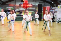 ABiRO-WOSP-2026-17