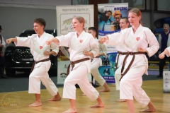 ABiRO-WOSP-2026-18