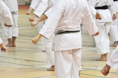foto019