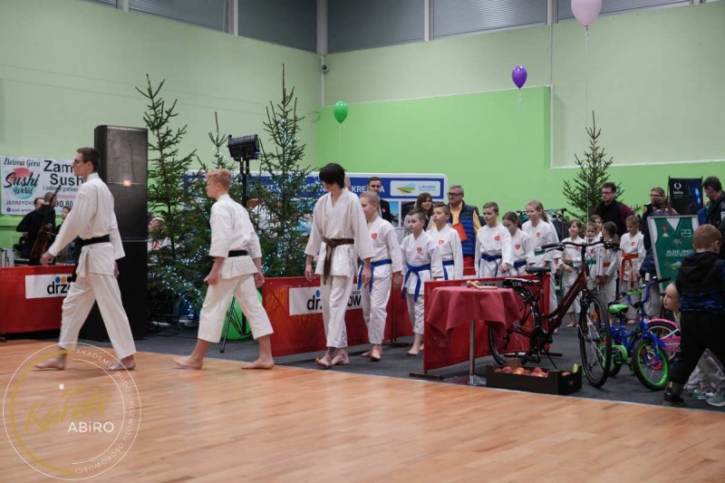 ABiRO-WOSP-2023-04