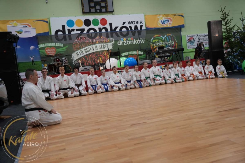 ABiRO-WOSP-2023-06