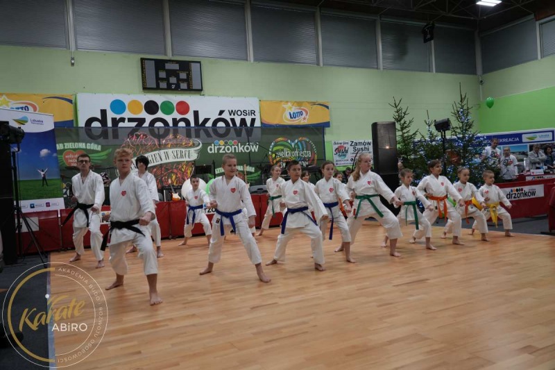 ABiRO-WOSP-2023-08
