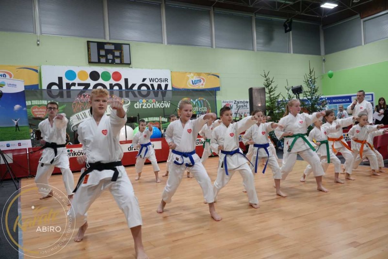ABiRO-WOSP-2023-09
