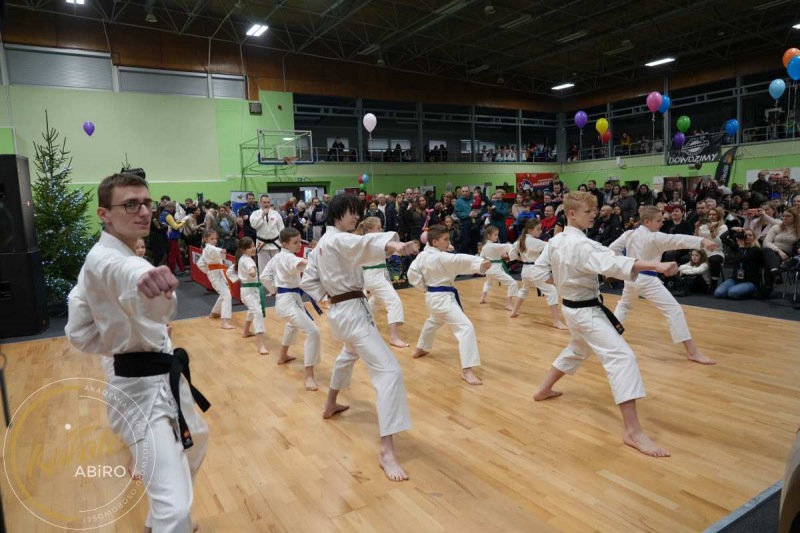 ABiRO-WOSP-2023-13