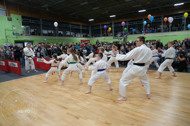 ABiRO-WOSP-2023-14
