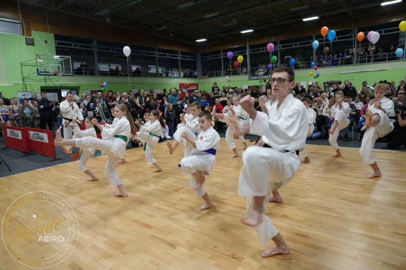 ABiRO-WOSP-2023-16