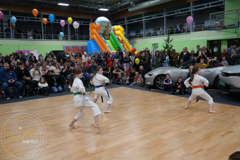 ABiRO-WOSP-2023-18