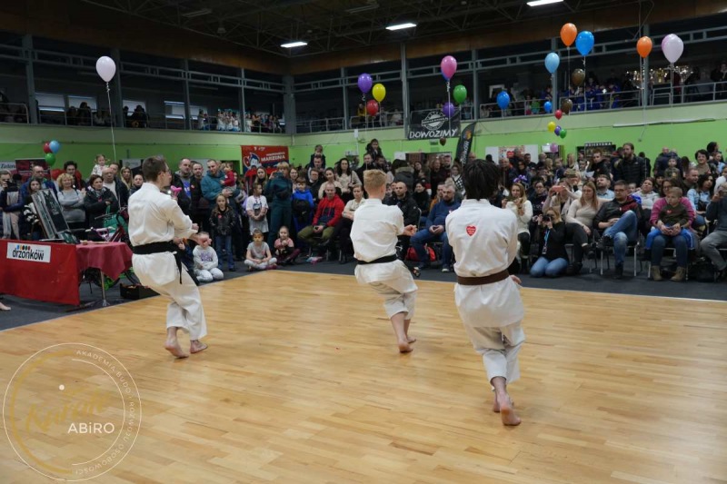 ABiRO-WOSP-2023-19