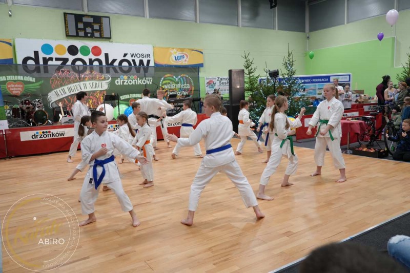 ABiRO-WOSP-2023-23