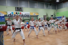 ABiRO-WOSP-2023-09