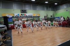 ABiRO-WOSP-2023-11