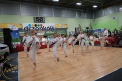 ABiRO-WOSP-2023-12