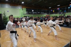 ABiRO-WOSP-2023-13