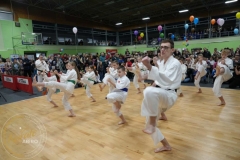 ABiRO-WOSP-2023-16