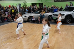 ABiRO-WOSP-2023-17