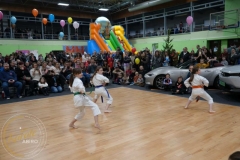ABiRO-WOSP-2023-18