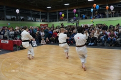 ABiRO-WOSP-2023-19