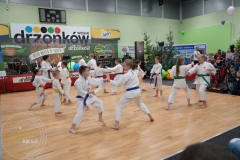 ABiRO-WOSP-2023-21