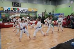 ABiRO-WOSP-2023-22