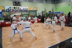 ABiRO-WOSP-2023-24