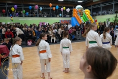 ABiRO-WOSP-2023-29