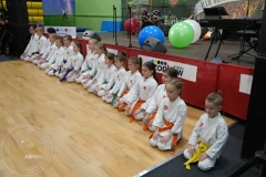 ABiRO-WOSP-2023-30