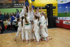 ABiRO-WOSP-2023-31